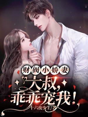 财阀小娇妻大叔乖乖宠我安夏儿