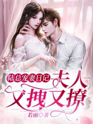 陆总宠妻日记夫人又拽又撩免费阅读