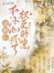 不小心怀了权臣的崽温轻