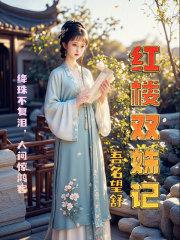 红楼之双胞胎之间的