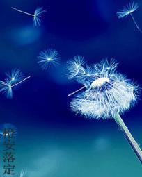 安落定是什么药