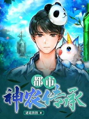 神农传人在都市
