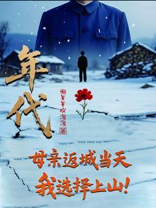 年代母亲返城当天我选择上山电子书