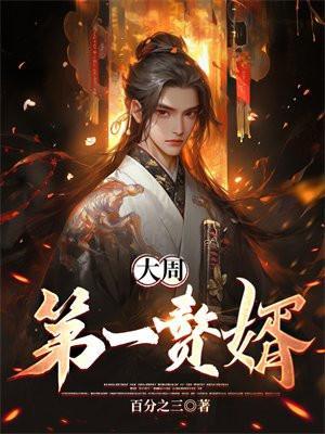 大周第一赘婿TXT