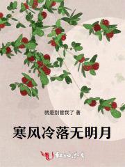 寒风冷落无明月什么意思?