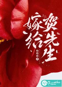 嫁给霍先生免费阅读