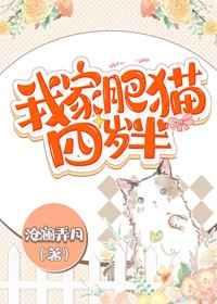 我家肥猫四岁半作者沧澜弄月
