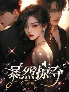 暴烈掠夺作者大呀