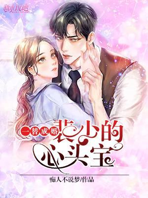 裴少偏宠的替身娇妻宁夏