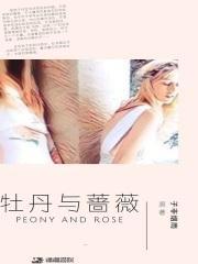 牡丹与蔷薇日剧大结局