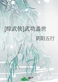 综武侠武功盖世