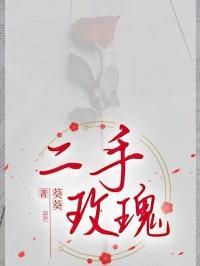 二手玫瑰命运歌词