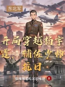 辅佐少帅抗日 第503章