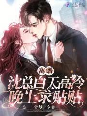 沈总的全文最新章节更新