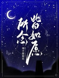 所念皆如愿下一句