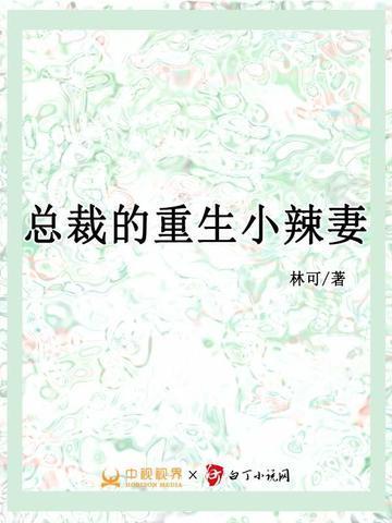 总裁的重生小辣妻 林可
