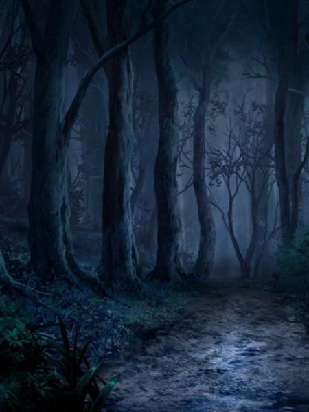 哀牢山景区攻略