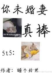 你未婚妻真棒格格党