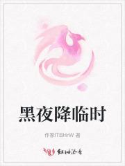 黑夜降临故事详情