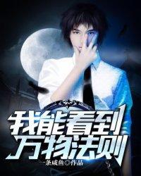 我能看到万物法则的