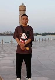 增值税缴纳逾期