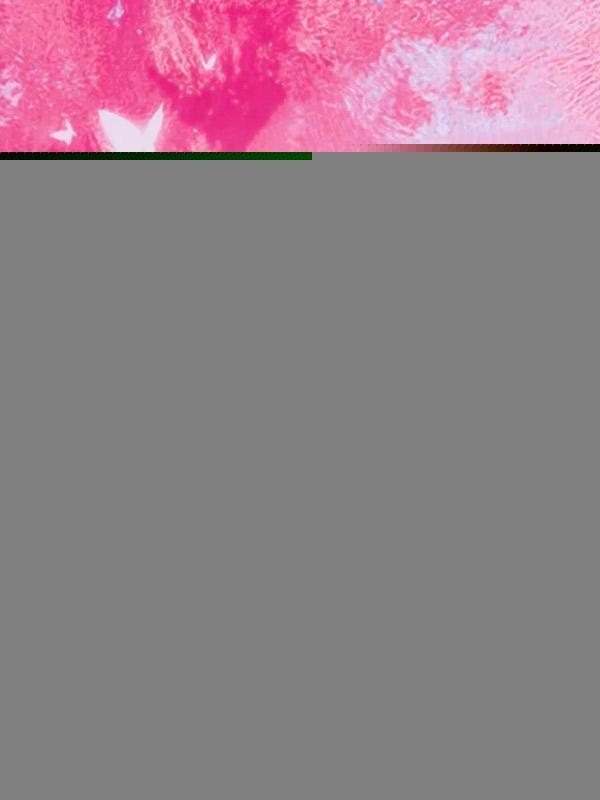 老公送老婆生孩子被堵的视频