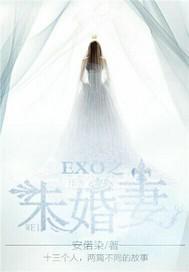 exo之团妻