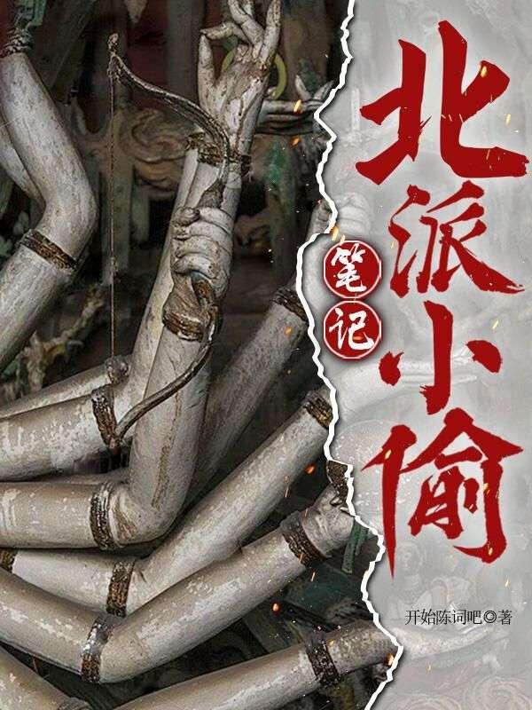 北派小偷笔记(全集)