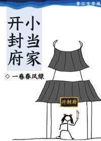 开封府小当家晋江