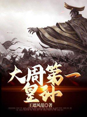 大周第一皇孙TXT