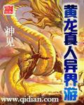黄龙真人异界游txt全本