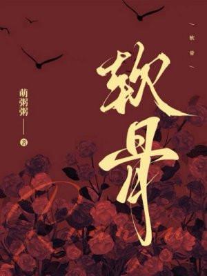 软骨素和钙片有什么区别