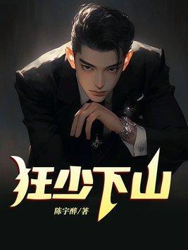 狂少下山叶凡免费阅读