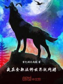 我在全职法师世界稳