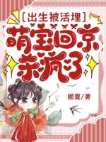 萌宝回京杀疯了 书旗