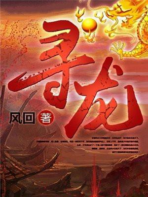 寻龙游侠多少钱人民币