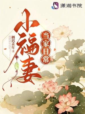 小福妻当家日常作者栖迟永年