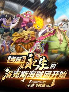 海贼主角是洛克斯之子