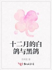 十二月的白鸽与黑鸽的区别