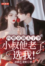 闪婚京爱免费阅读