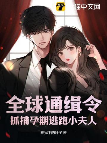 全球通缉出逃少夫人免费阅读