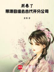 带项目进公司怎么分成