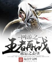 网游之王者再战的主角是什么职业