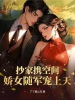 抄家前夕有空间装财产