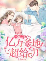 一胎二宝亿万爹地超给力 辛小南