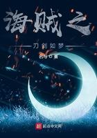 海贼王之刀剑乱舞