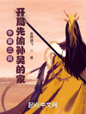 三国争霸之开局就登基袁耀