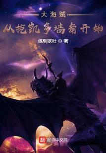 海贼之从凯多开始掠夺