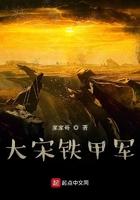 大宋铁甲军 家家
