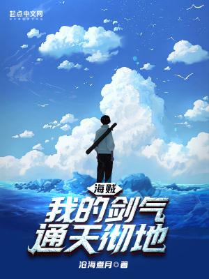 海贼我的剑豪身份